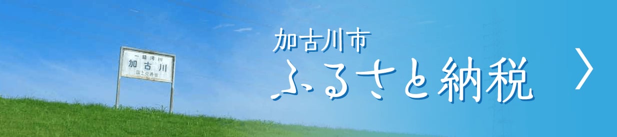 ふるさと納税